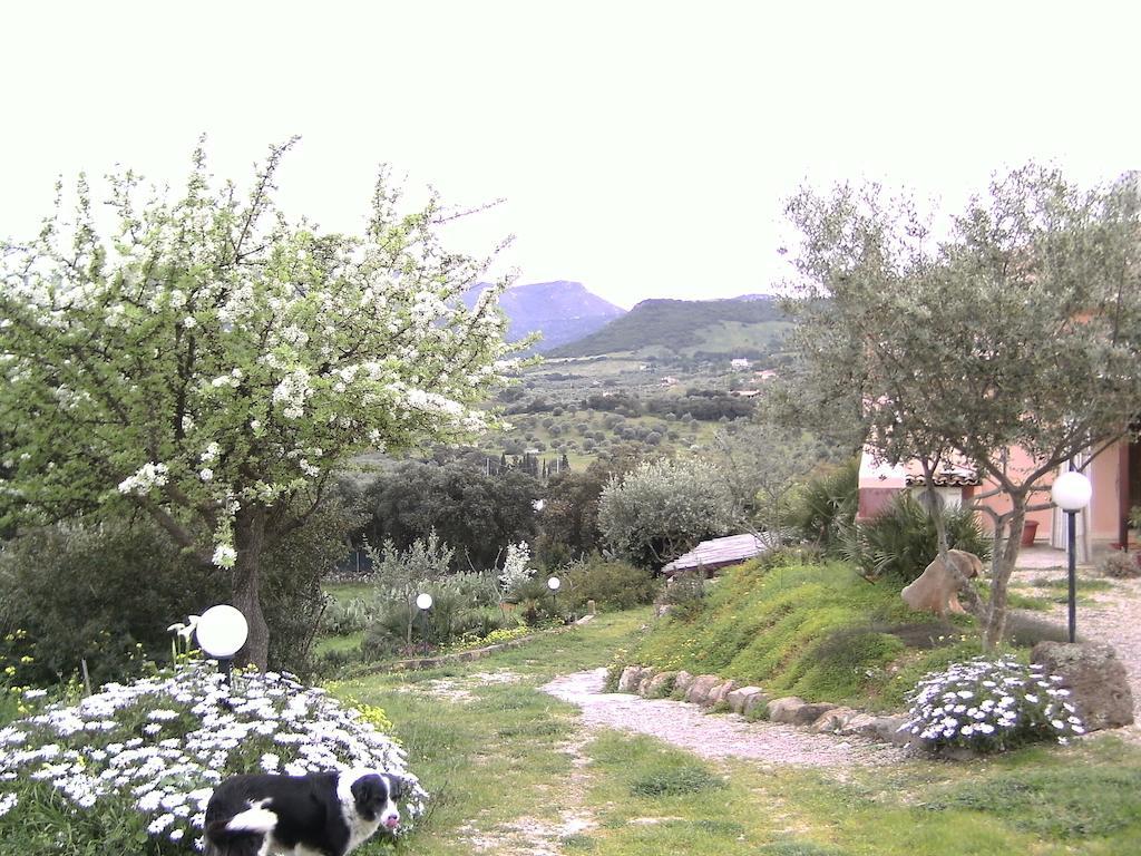 B&B Valli Verdi Alghero Esterno foto