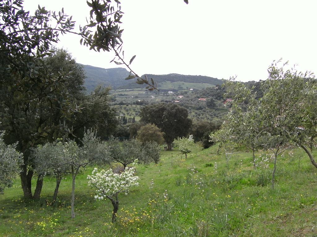 B&B Valli Verdi Alghero Esterno foto
