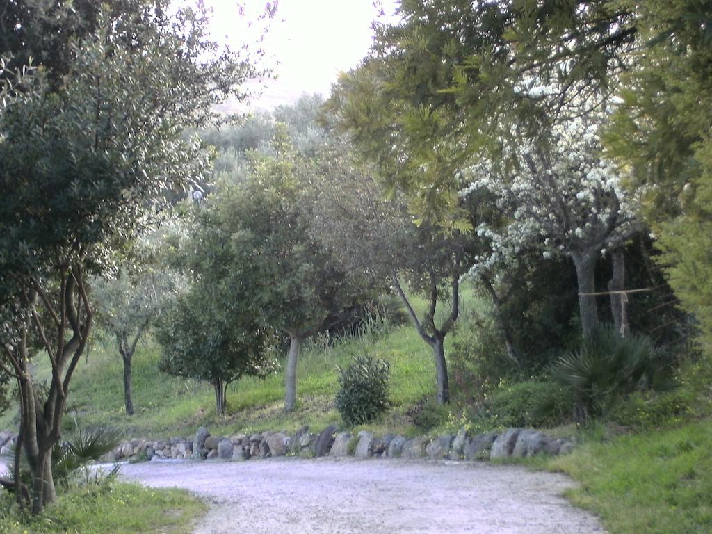 B&B Valli Verdi Alghero Esterno foto